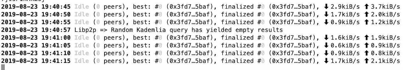 Terminal logs showing 0 peers